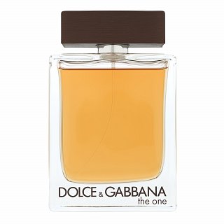 dolce & gabbana the one for men