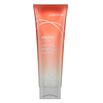 Joico Youth Lock Conditioner kondicionér pro ochranu a lesk vlasů 250 ml