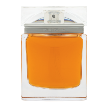 Mont Blanc Homme Exceptionnel Eau de Toilette for men 75 ml