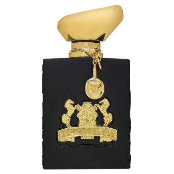 Alexandre.J Oscent Black Eau de Parfum voor mannen 100 ml