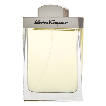 Salvatore Ferragamo Pour Homme woda toaletowa dla mężczyzn 100 ml