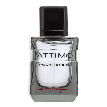 Salvatore Ferragamo Attimo Pour Homme toaletní voda pro muže 40 ml