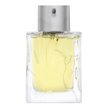 Sisley Eau D´Ikar woda toaletowa dla mężczyzn 50 ml