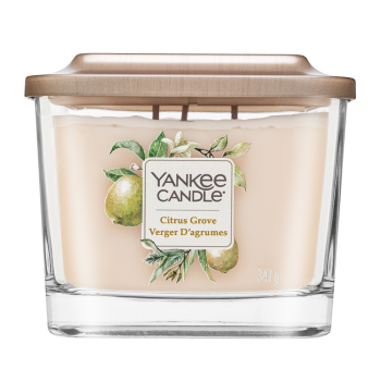Yankee Candle Citrus Grove vonná svíčka 347 g