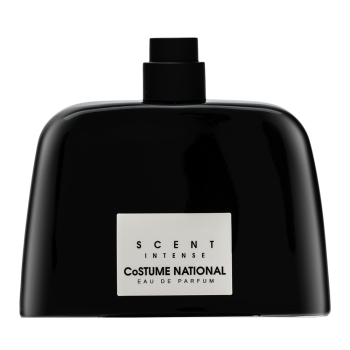 Costume National Scents Intense parfémovaná voda pro muže 100 ml