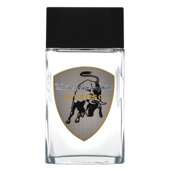 Tonino Lamborghini Intenso aftershave voor mannen 100 ml
