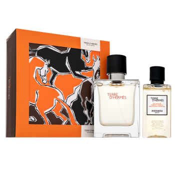 Hermès Terre D'Hermes ajándékszett férfiaknak Set II. 50 ml