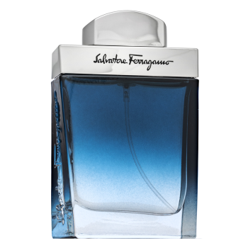 Salvatore Ferragamo Subtil Pour Homme toaletní voda pro muže 30 ml