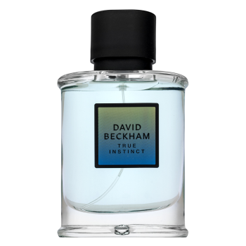 David Beckham True Instinct Eau de Parfum für Herren Extra Offer 2 75 ml