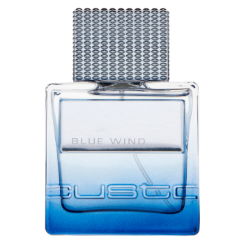 Custo Barcelona Blue Wind Eau de Toilette for men 50 ml