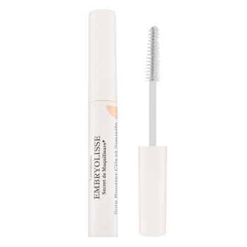 Embryolisse Artist Secret Lashes & Brows Booster ser mascara a genelor si a sprancenelor 6,5 ml