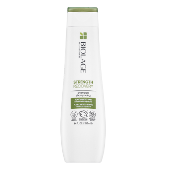 Matrix Biolage Strength Recovery Shampoo posilující šampon pro oslabené vlasy 250 ml