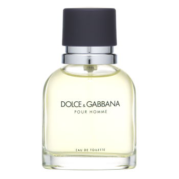 Dolce & Gabbana Pour Homme Eau de Toilette for men 40 ml