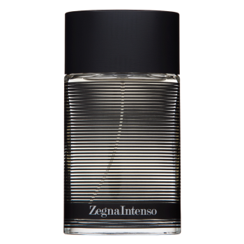 Ermenegildo Zegna Intenso toaletní voda pro muže 100 ml