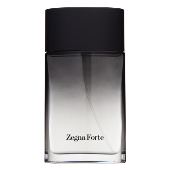 Ermenegildo Zegna Zegna Forte toaletní voda pro muže 100 ml