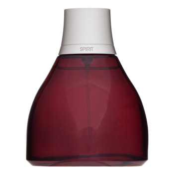 Antonio Banderas Spirit for Men Eau de Toilette for men 100 ml