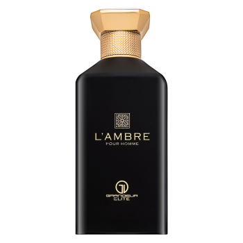 Grandeur L'Ambre parfémovaná voda pro muže 100 ml