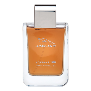 Jaguar Jaguar Excellence Intense Men parfémovaná voda pro muže 100 ml