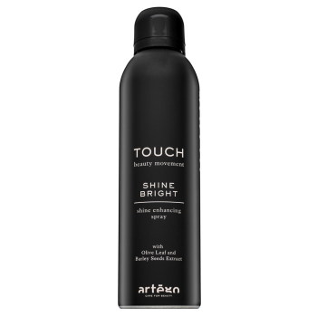 Artègo Touch Shine Bright Shine Enhancing Spray стилизиращ спрей за блясък на косата 250 ml