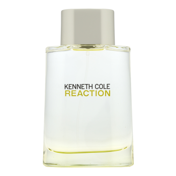 Kenneth Cole Reaction Eau de Toilette for men 100 ml