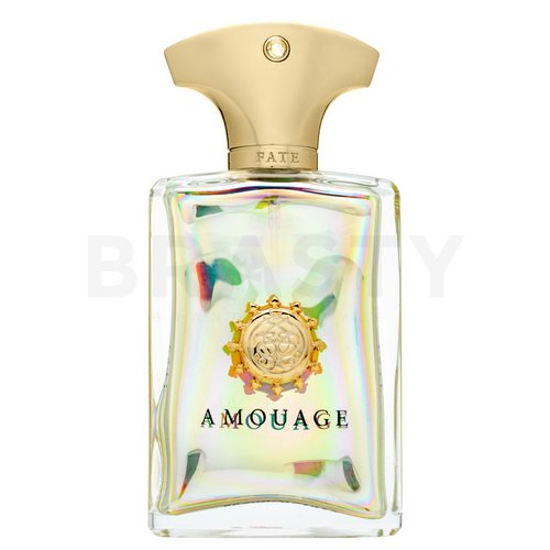 Amouage Fate Man Eau de Parfum for men 50 ml