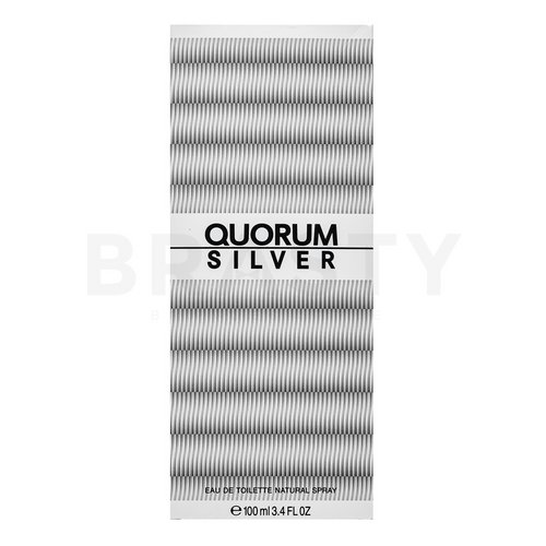 Antonio Puig Quorum Silver Eau de Toilette for men 100 ml