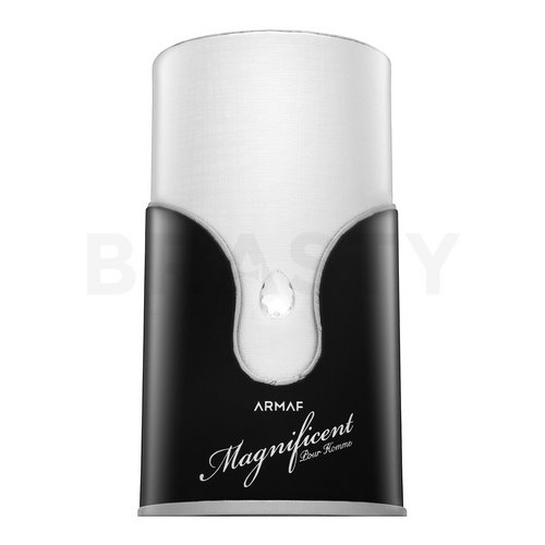 Armaf Magnificent Pour Homme parfémovaná voda pre mužov 100 ml