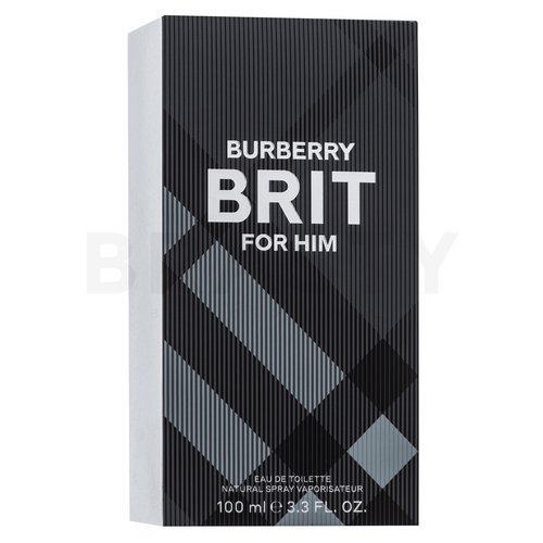 Burberry Brit Men toaletní voda pro muže 100 ml