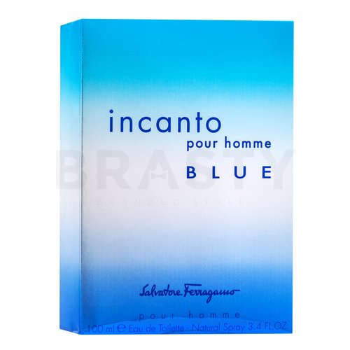 Salvatore Ferragamo Incanto Blue toaletná voda pre mužov 100 ml