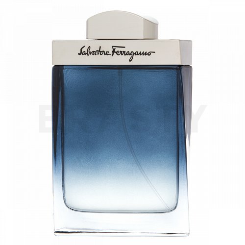 Salvatore Ferragamo Subtil Pour Homme Eau de Toilette para hombre 100 ...