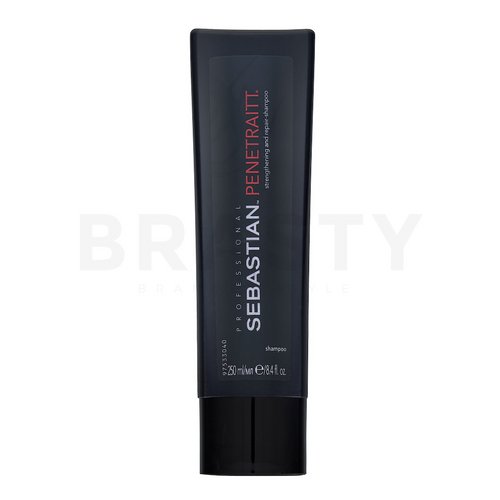 Sebastian Professional Penetraitt Shampoo vyživujúci šampón pre poškodené vlasy 250 ml