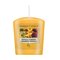 Yankee Candle Tropical Starfruit votívna sviečka 49 g