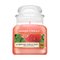 Yankee Candle Sun-Drenched Apricot Rose vonná svíčka 104 g