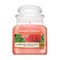 Yankee Candle Sun-Drenched Apricot Rose 104 g