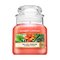 Yankee Candle The Last Paradise Duftkerze 104 g