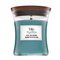 Woodwick Blue Java Banana vonná svíčka 85 g