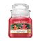Yankee Candle Tropical Jungle scented candle 104 g