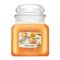 Yankee Candle Mango Ice Cream vonná svíčka 411 g