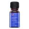 Moroccanoil Purple Treatment olio nutriente per capelli biondo platino e grigi 10 ml