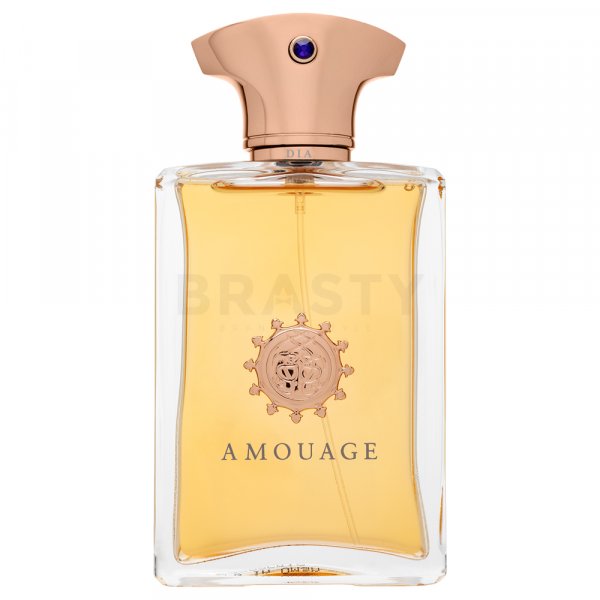 Amouage Dia parfémovaná voda pre mužov 100 ml