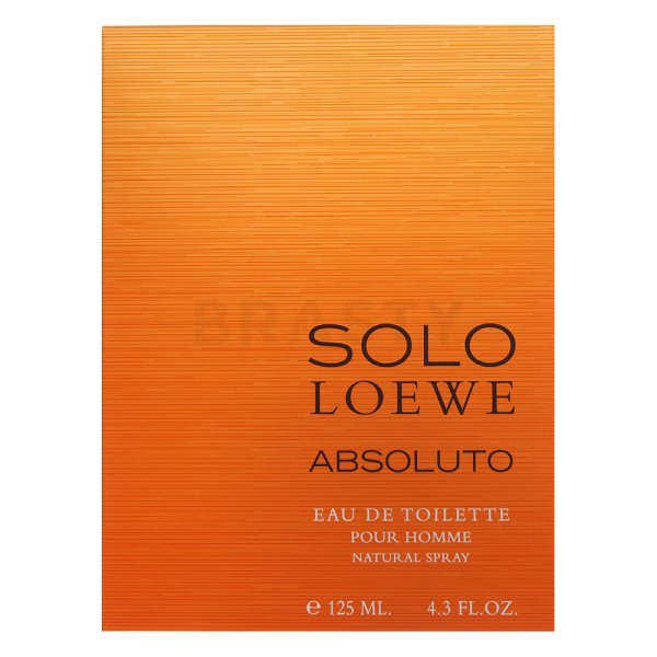 Loewe Solo Loewe Absoluto Eau de Toilette for men 125 ml