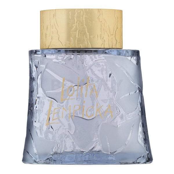 Lolita Lempicka Au Masculin toaletní voda pro muže 100 ml