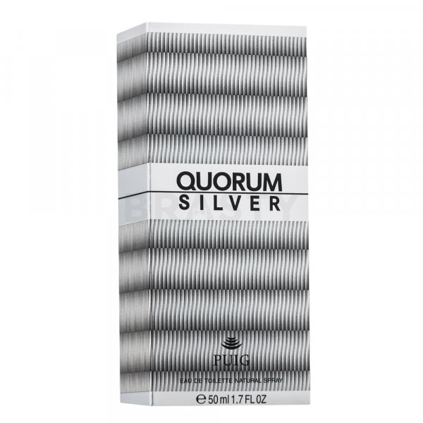 Antonio Puig Quorum Silver toaletní voda pro muže 50 ml