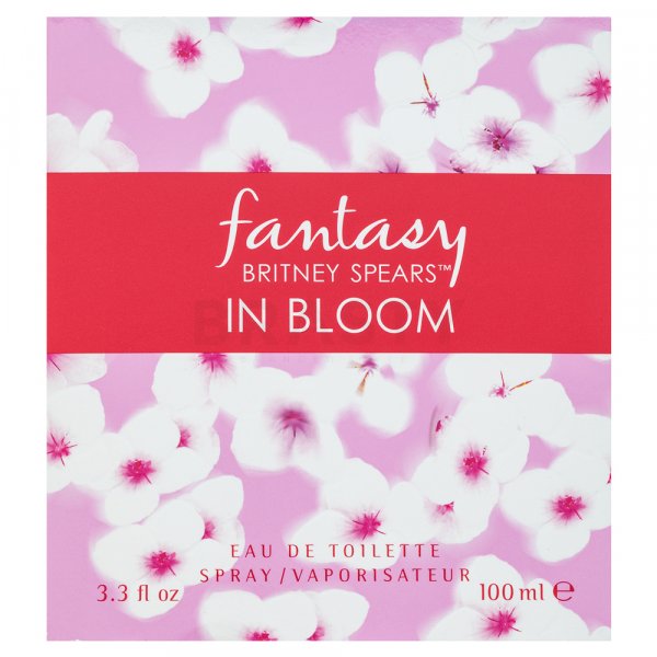 Britney Spears Fantasy In Bloom toaletná voda pre ženy 100 ml