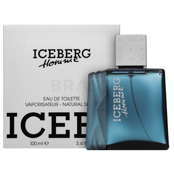 Iceberg Iceberg Homme toaletná voda pre mužov 100 ml