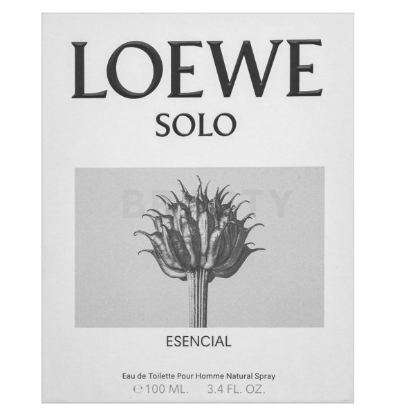 Loewe Solo Esencial Eau de Toilette für Herren 100 ml