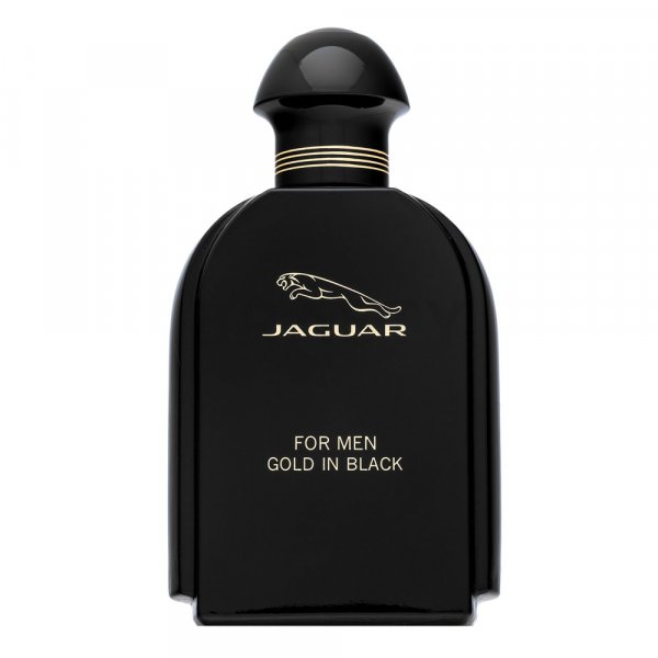 Jaguar For Men Gold in Black Eau de Toilette da uomo 100 ml