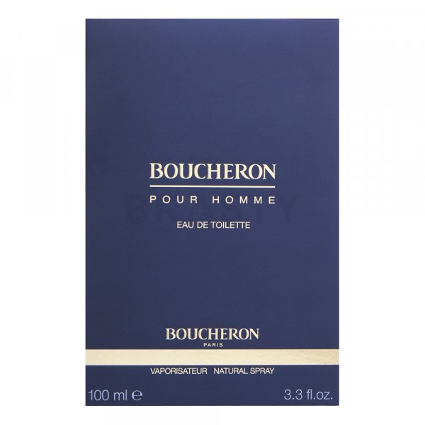 Boucheron Pour Homme toaletní voda pro muže 100 ml
