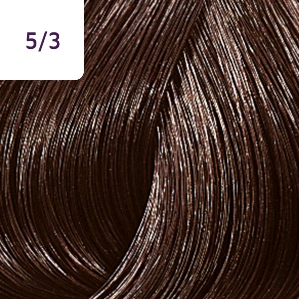 Wella Professionals Color Touch Rich Naturals Professionelle demi-permanente Haarfarbe mit einem multidimensionalen Effekt 5/3 60 ml