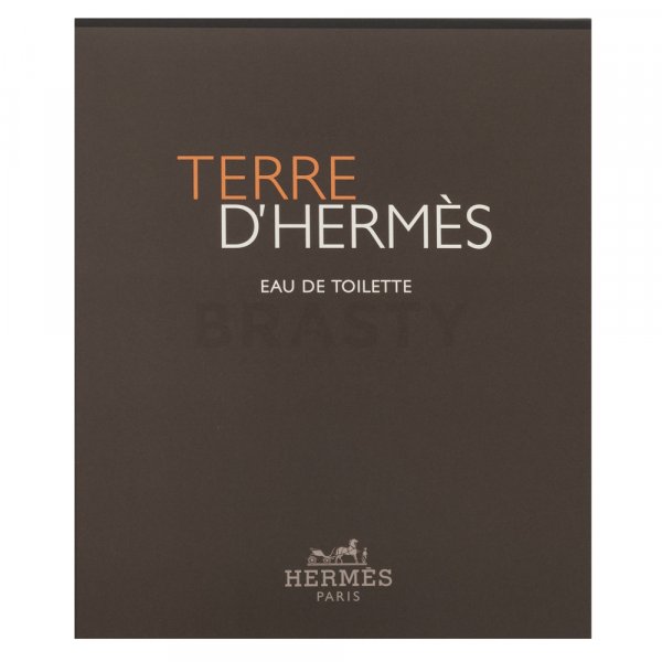 Hermès Terre D'Hermes zestaw upominkowy dla mężczyzn Set I.